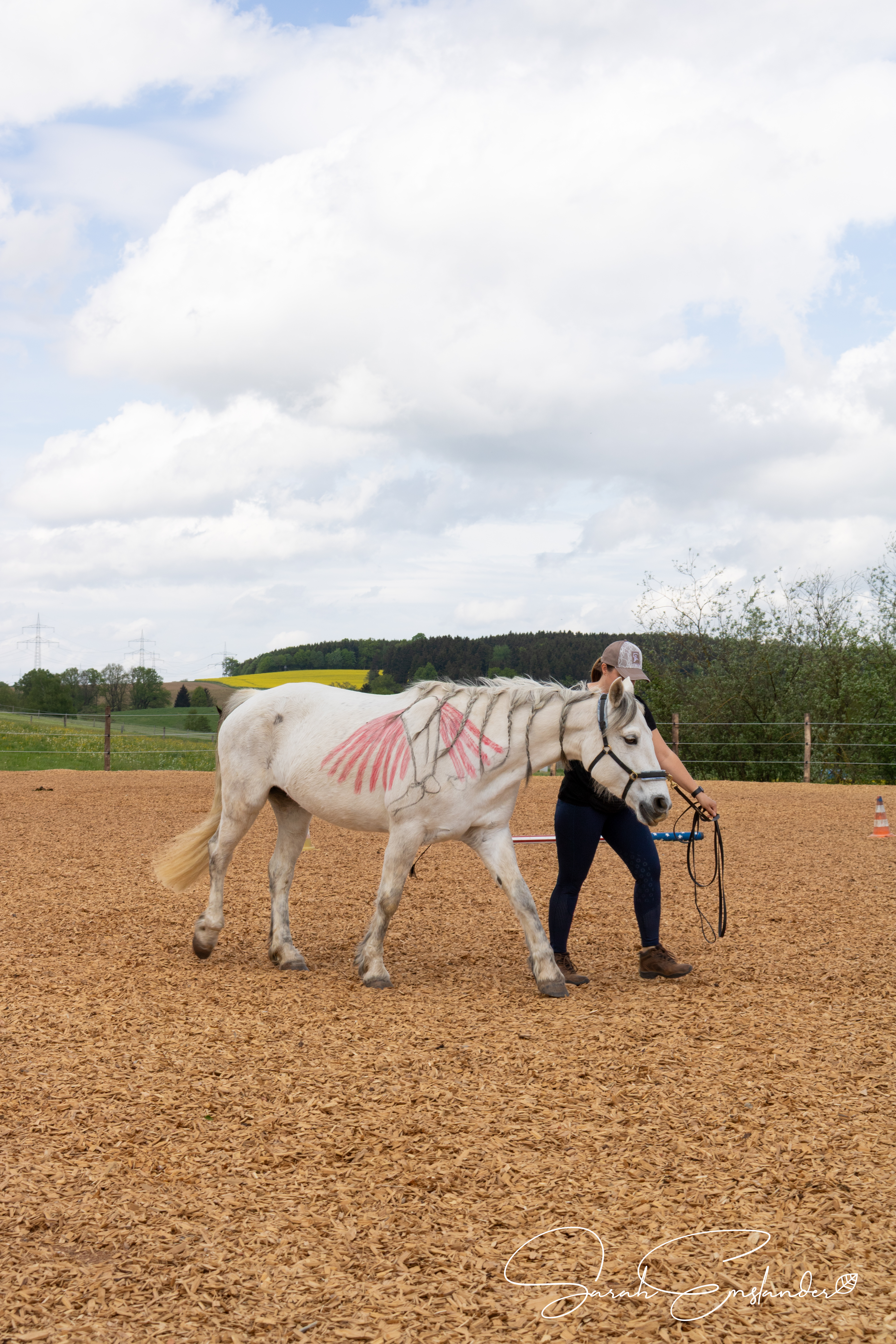 Reitschülerin lernt Biomechanik am Pferd mit aufgemaltem Rumpfträgermuskel M. Serratus bei der Bodenarbeit