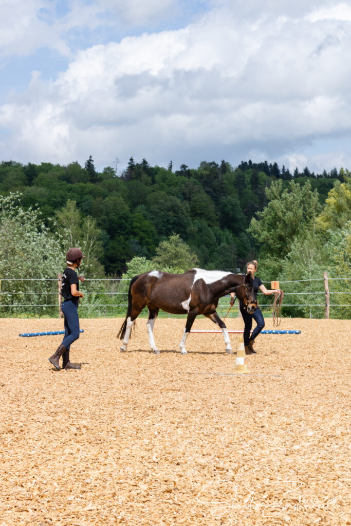 Mobile Reitlehrerin gibt Unterricht beim gesunderhaltenden Longieren und der Gymnastizierung des Pferdes