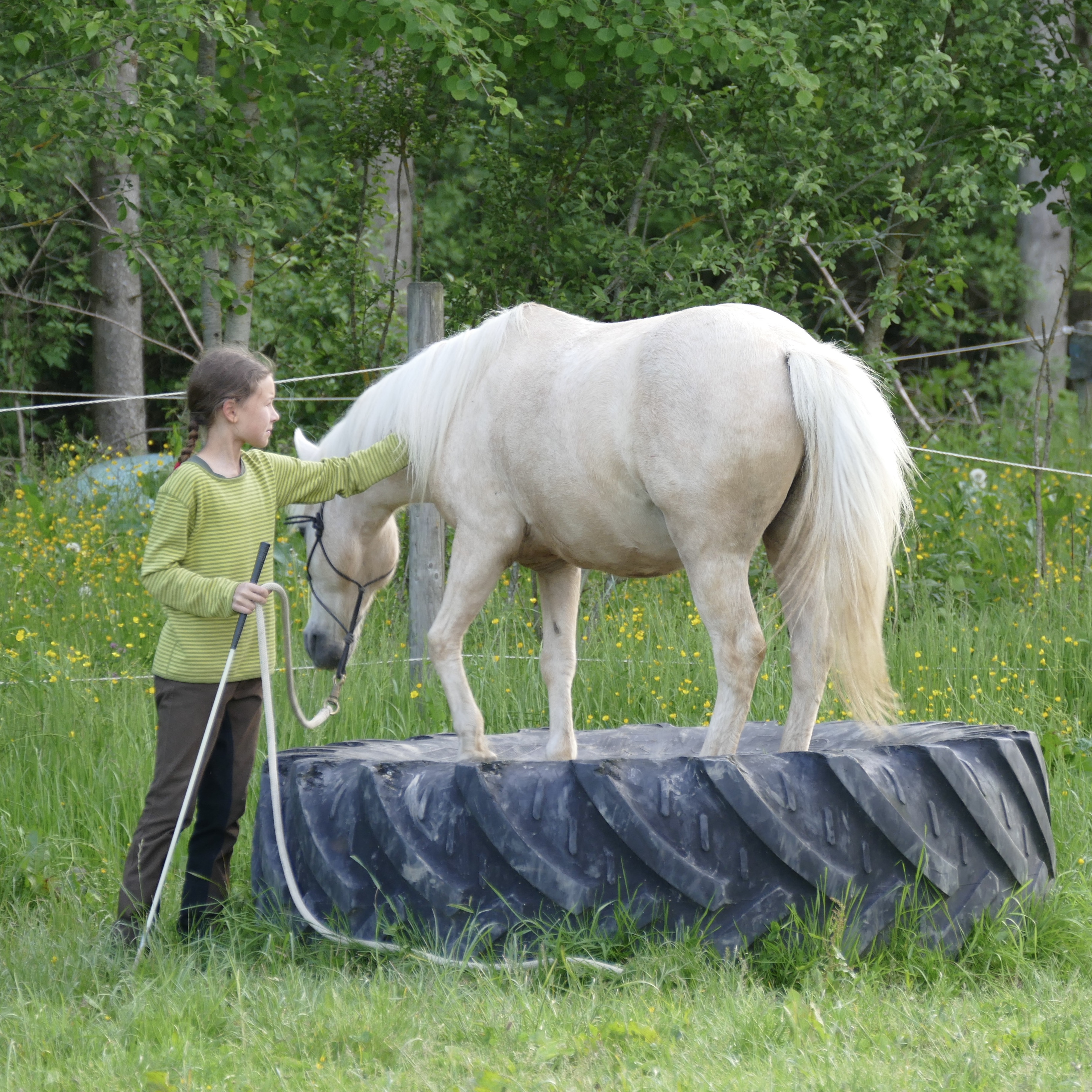 Dana Künstner beim Horsemanship-Training mit einem Pony im Extreme Trail Parcours